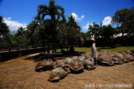 怎样玩遍毛里求斯,到了毛里求斯要怎么玩