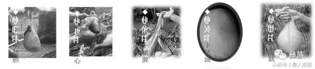 彝族十月太阳历还在用吗,彝族十月太阳历法