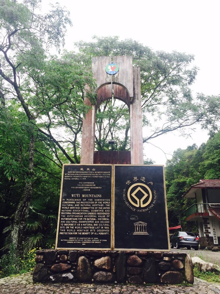 真正的金骏眉是什么样子的,金骏眉究竟什么样子的