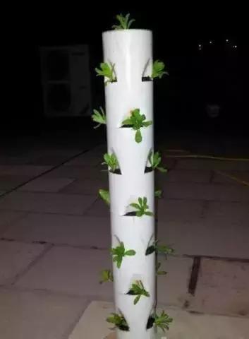 pvc管阳台无土种菜全图解,用pvc管阳台种菜安全吗