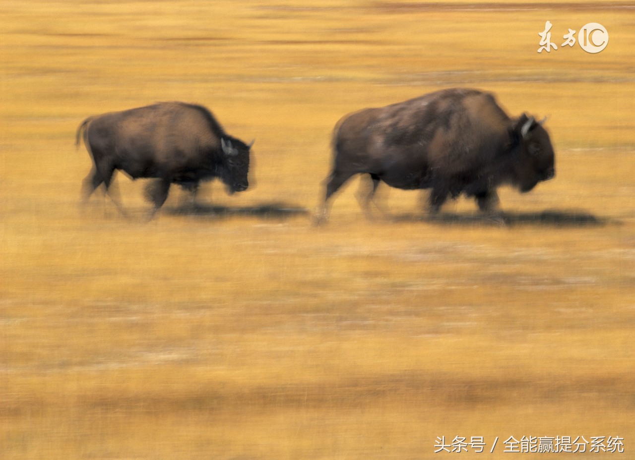 各科提分最狠的方法,高考数学蒙分攻略大题