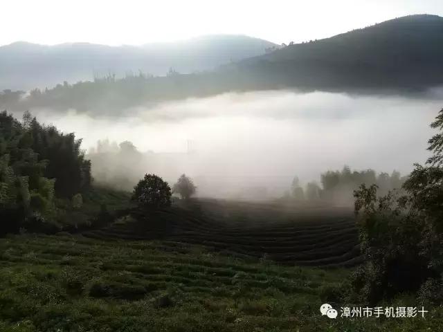 手机拍大片推荐,手机拍出来的大片欣赏