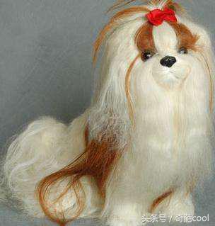 学校实用的冷知识有哪些 (学校学不到的知识有哪些)