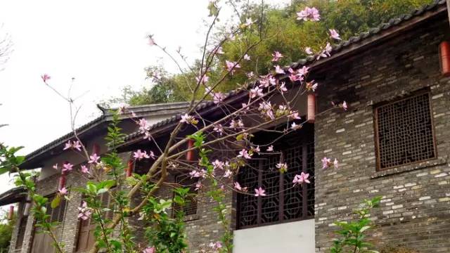 《欢乐颂2》关关谈恋爱的地方曝光！广州周边也有！美炸了！