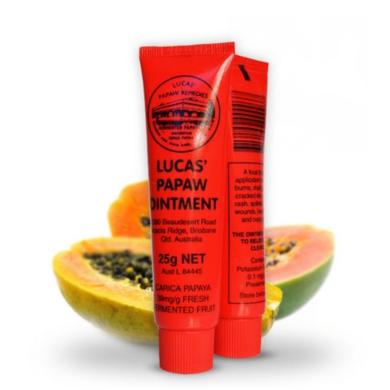 鎺ㄨ崘缁欑埍璞嗙殑濂界墿,绉嶈崏鐖辫眴鍚屾濂界墿