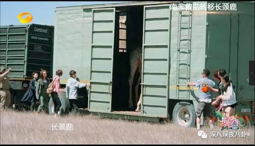 陈柏霖颜值花儿与少年,陈柏霖个人简介