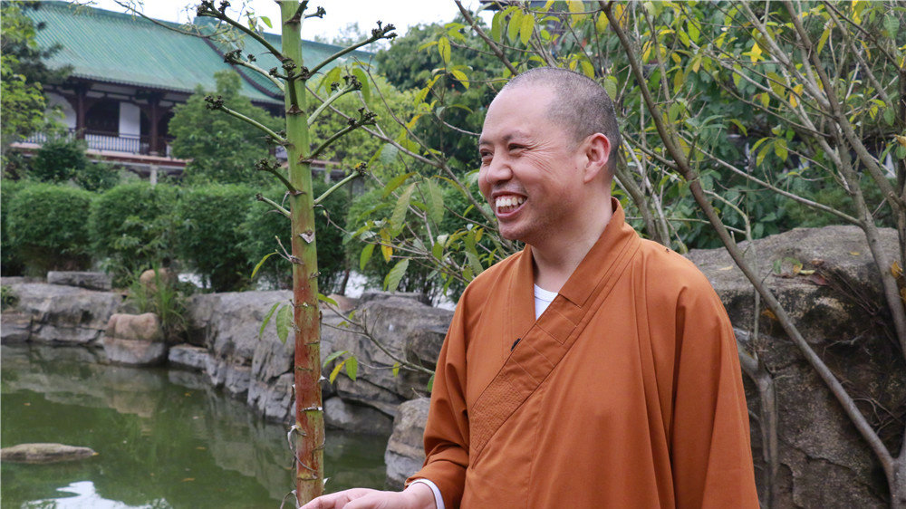 延参法师写的人生百味,延参法师人生哲理