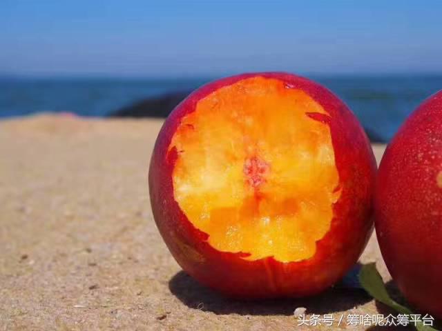 油桃怎么吃最黄,自然成熟油桃怎么吃才好吃