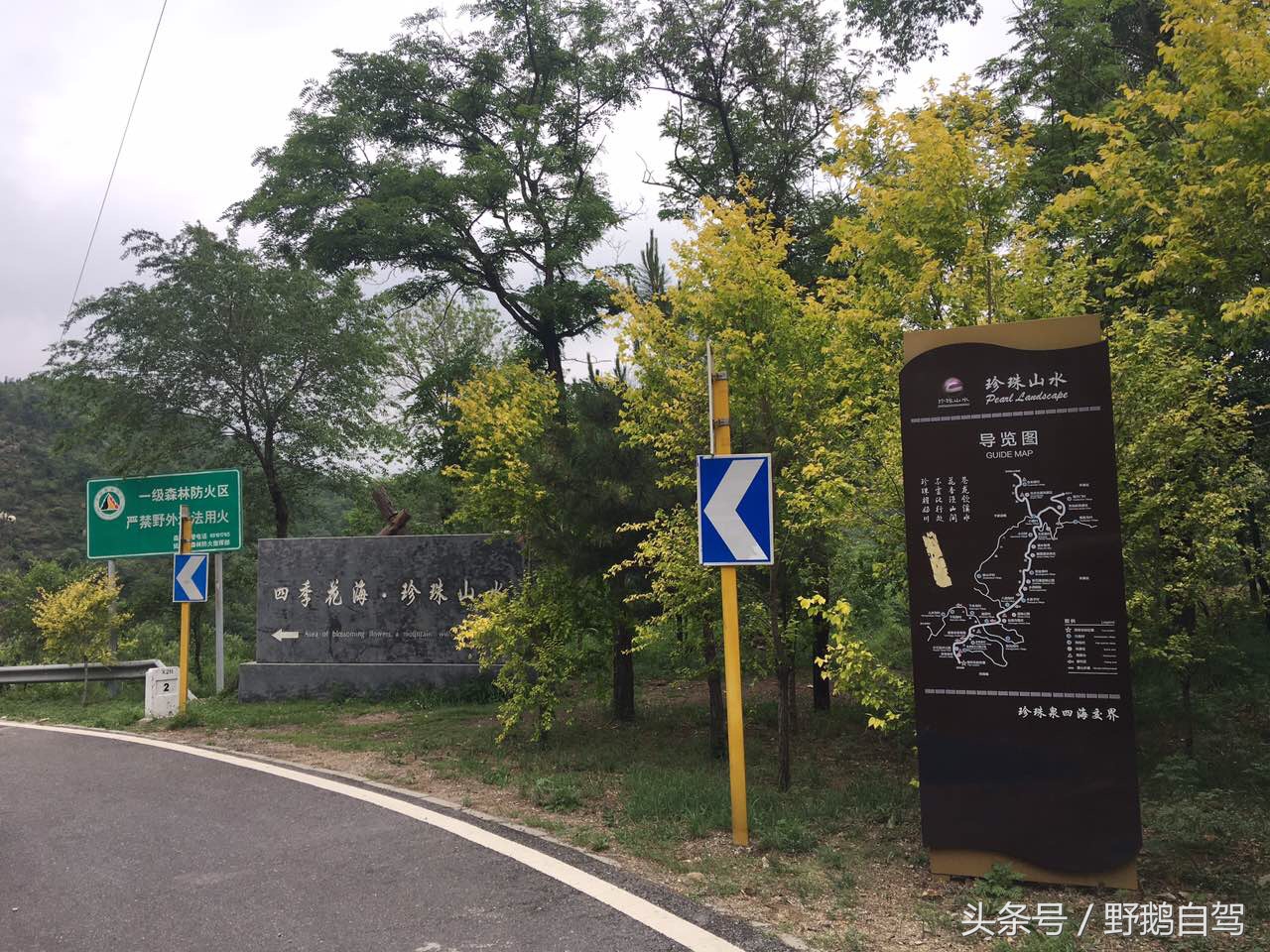 野鹅自驾：一个小泉眼，却养活了整个村子，冒出的气泡酷似珍珠！