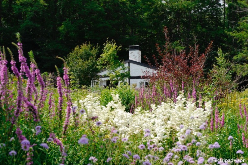 六月不热海边旅游推荐,夏季炎热适合去哪里旅游