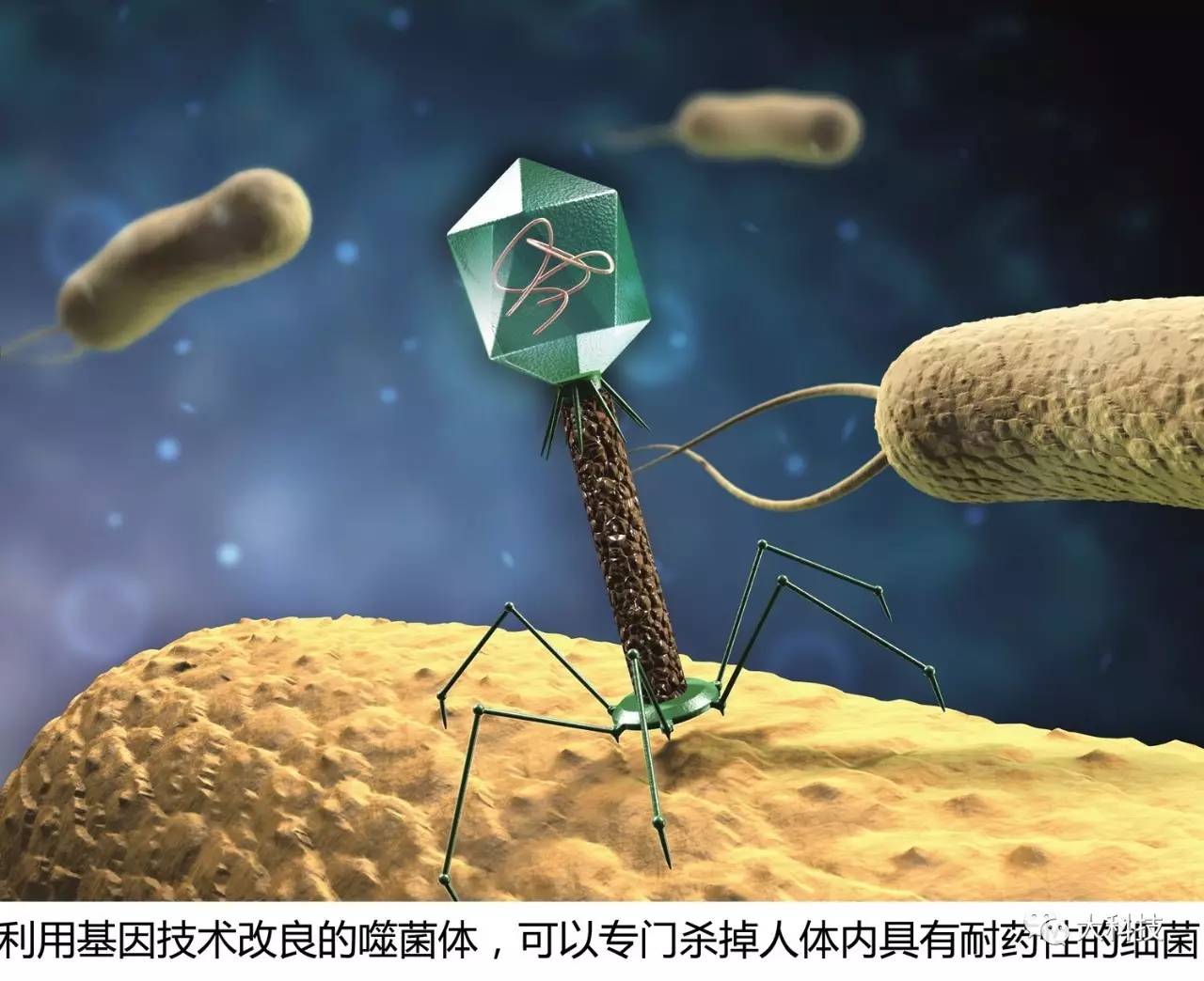 抗生素失效温度及加热时间,抗生素失效还有救吗