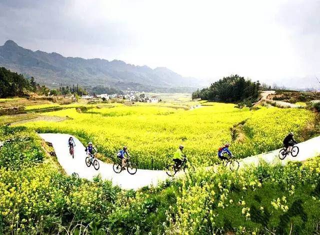 你在丽水过得好吗,青田现在怎么样