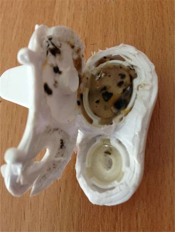 她实在搞不懂宝宝怎么会经常生病？当她撬开婴用品吸嘴后才明白