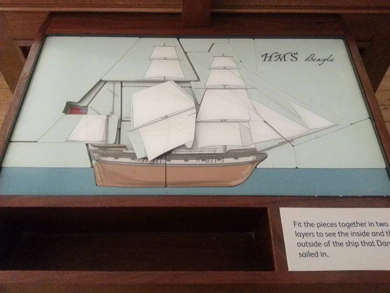 塞奇威克地球科学博物馆,塞奇威克