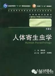 孕妇怀孕期间可以养宠物吗,孕妇家里养宠物好不好