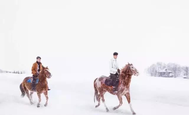 胡霍cp组合图片,胡霍霍cp动图