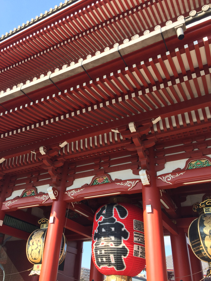 日本的冬天依旧色彩绚烂,冬季日本的冰雪阳光