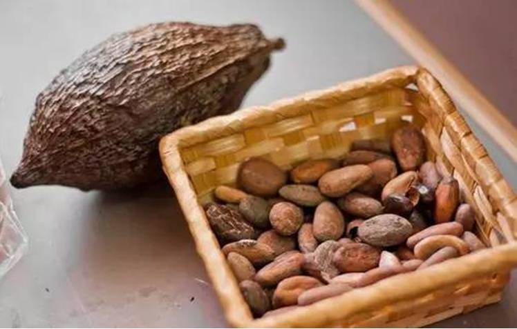 有阳光的日子，都不辜负｜听台商李贤治在川“务农”的“庄园经”