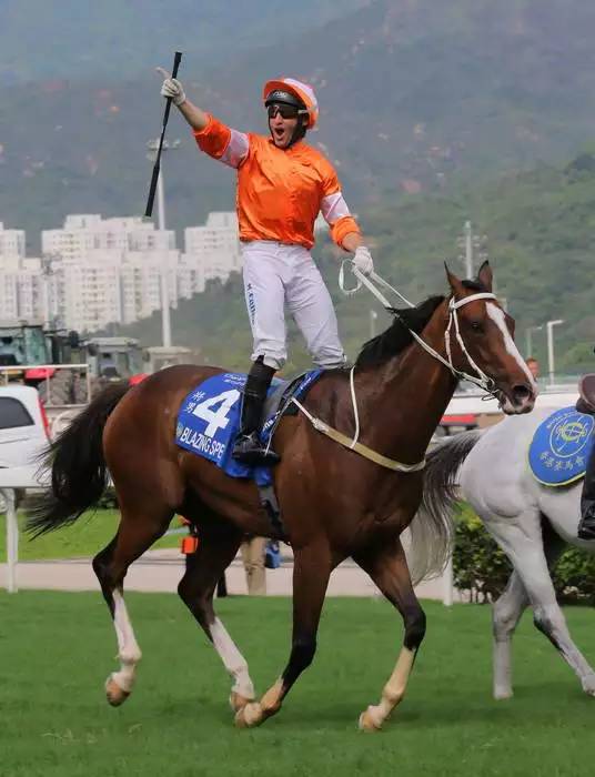 “将男”!上季“最佳长途马”正式退役