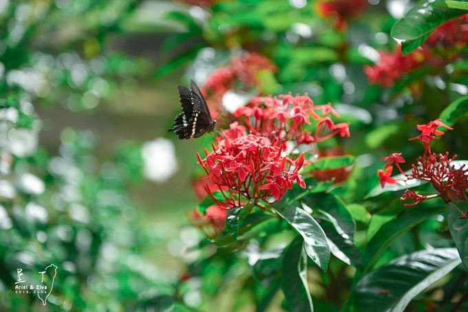 2017台北高雄垦丁花莲之旅,台北花莲垦丁自由行攻略