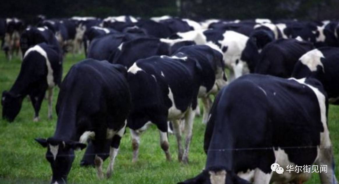 发展中国家最强大的国家是哪一个,老牌发达国家有多强大