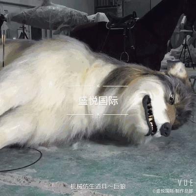 西游记女儿国变身特效,西游记女儿国特效