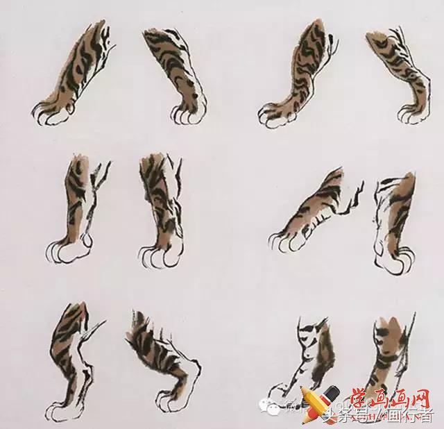 画虎年的老虎,如何画虎年的老虎