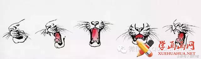 画虎年的老虎,如何画虎年的老虎