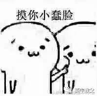 如何用最少的钱买到玛莎拉蒂,如何用最少的钱买一只猫