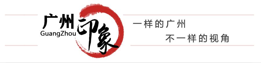 怎么对付蟑螂和蚊子和蚂蚁,家里有蟑螂蚂蚁蚊子老鼠一招消灭