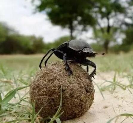 孝感土话大全完整版,孝感话视频