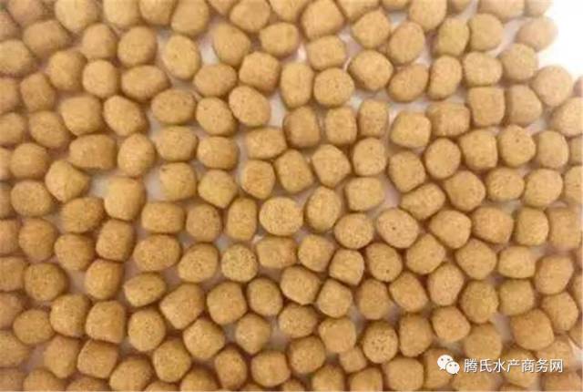 低成本养殖罗非,罗非养殖技术视频全集