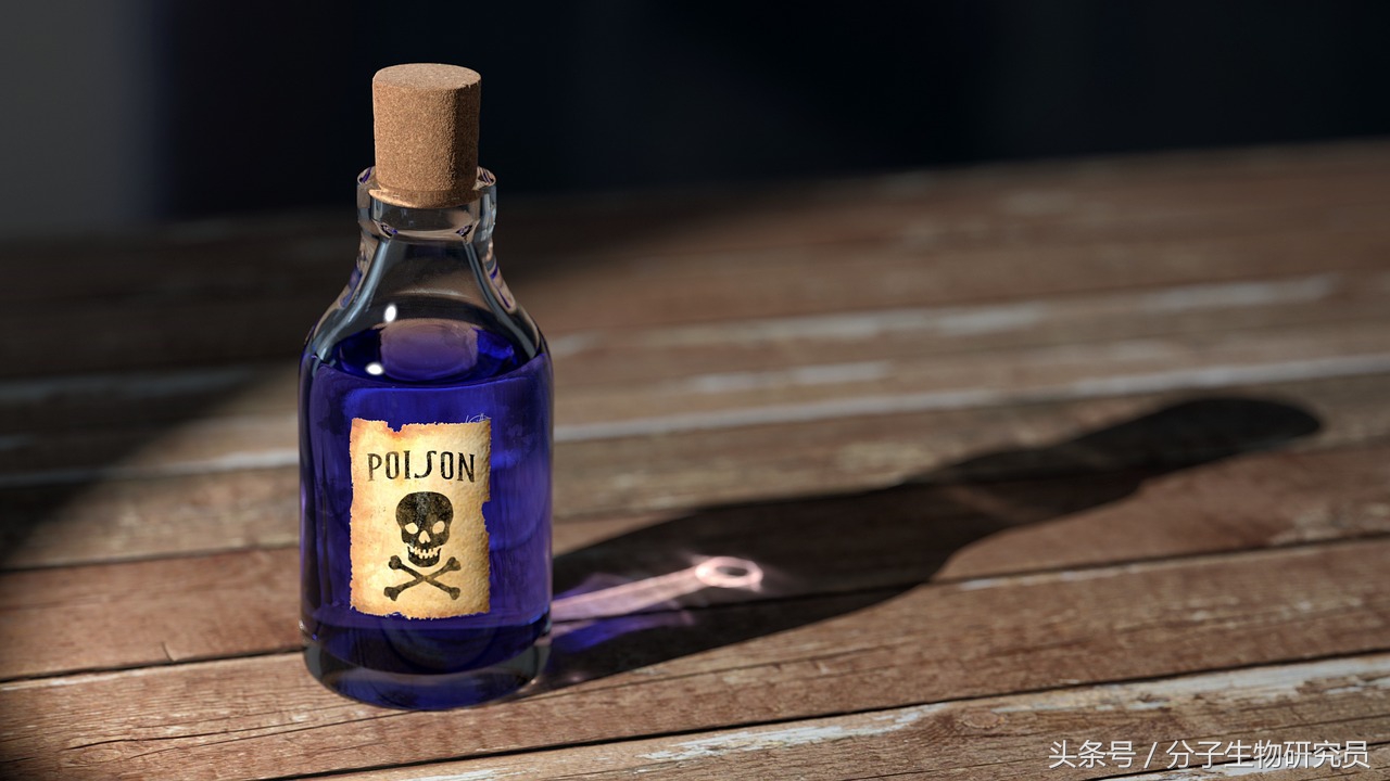 代购内幕护肤品,韩国代购大牌化妆品安全吗