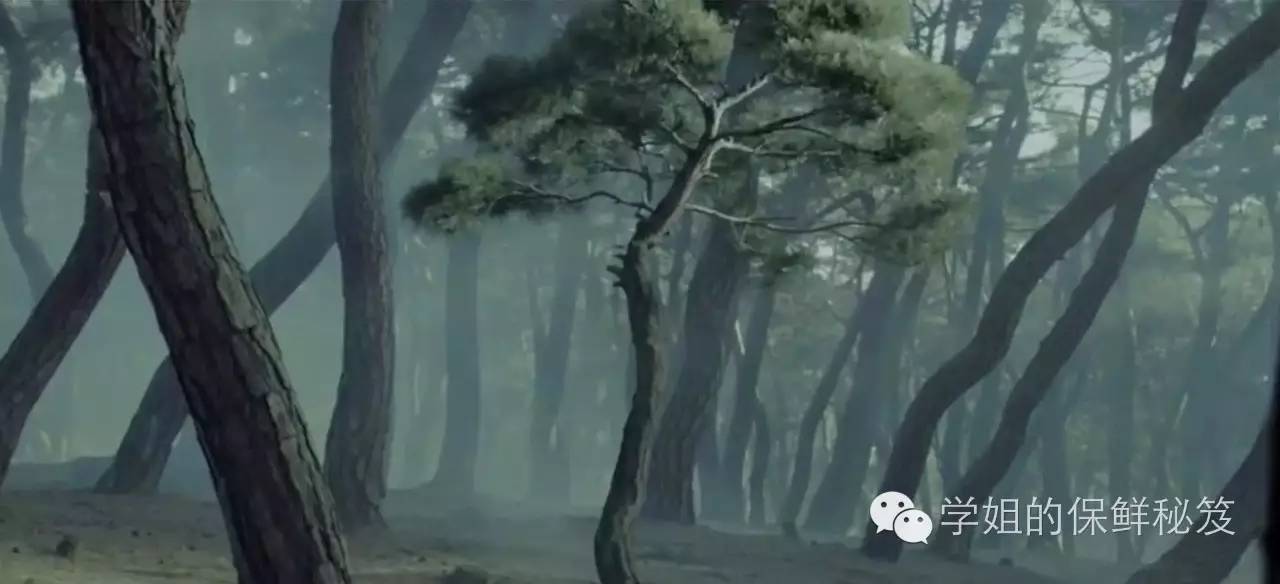 雪花秀测评真实推荐,雪花秀测评真假免税店版