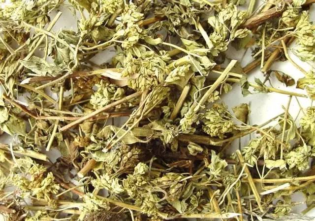 肝不好喝九种茶越喝越好,中医肝不好喝什么茶最好