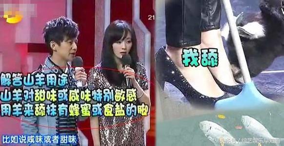 杨幂明日之子上秀腿,杨幂在明日之子说过最火的话