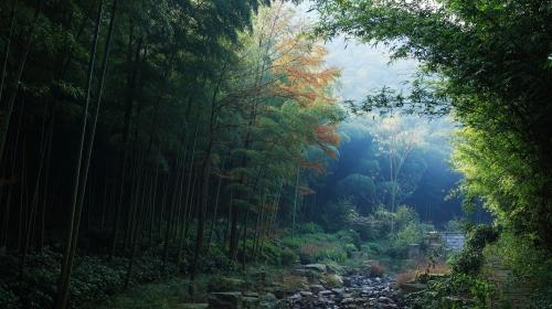 宜兴水墨田园温泉度假酒店,宜兴竹海温泉度假村