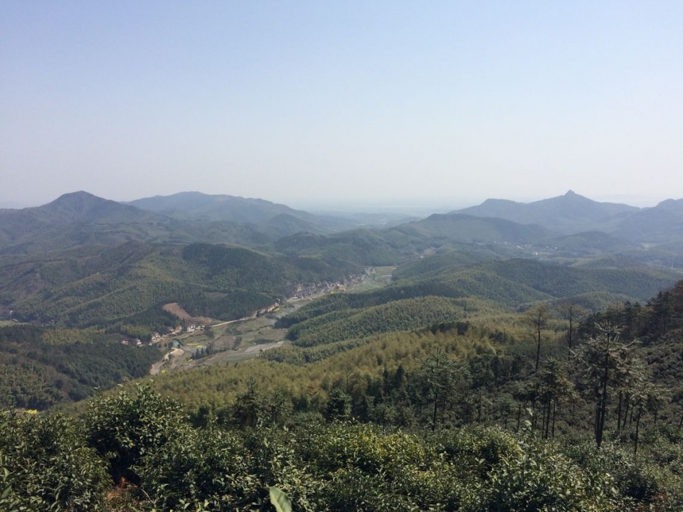 端午回老家钓到一条七星鱼竟然吐出了一条蛇！