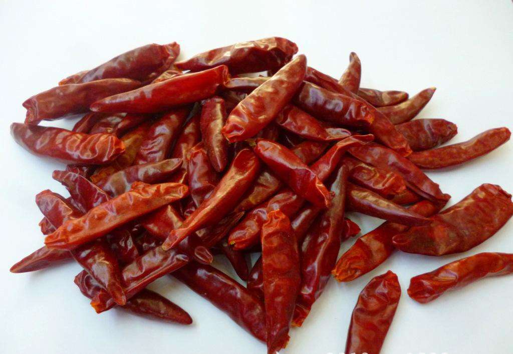 阳台种菜飞虫怎么去除无毒无害,阳台种菜有很多小飞虫杀虫剂