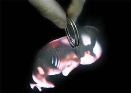 上环=每个月刮宫？看完实在心疼女人