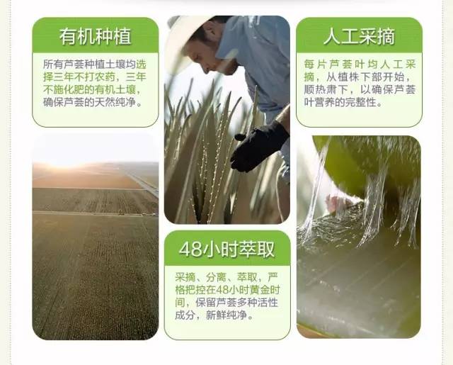 不用的芦荟胶怎么办,不用芦荟怎么做芦荟胶