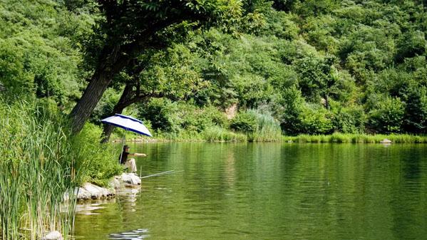 如果海洋生物灭绝会怎样,如果海水全部变成淡水世界会怎样