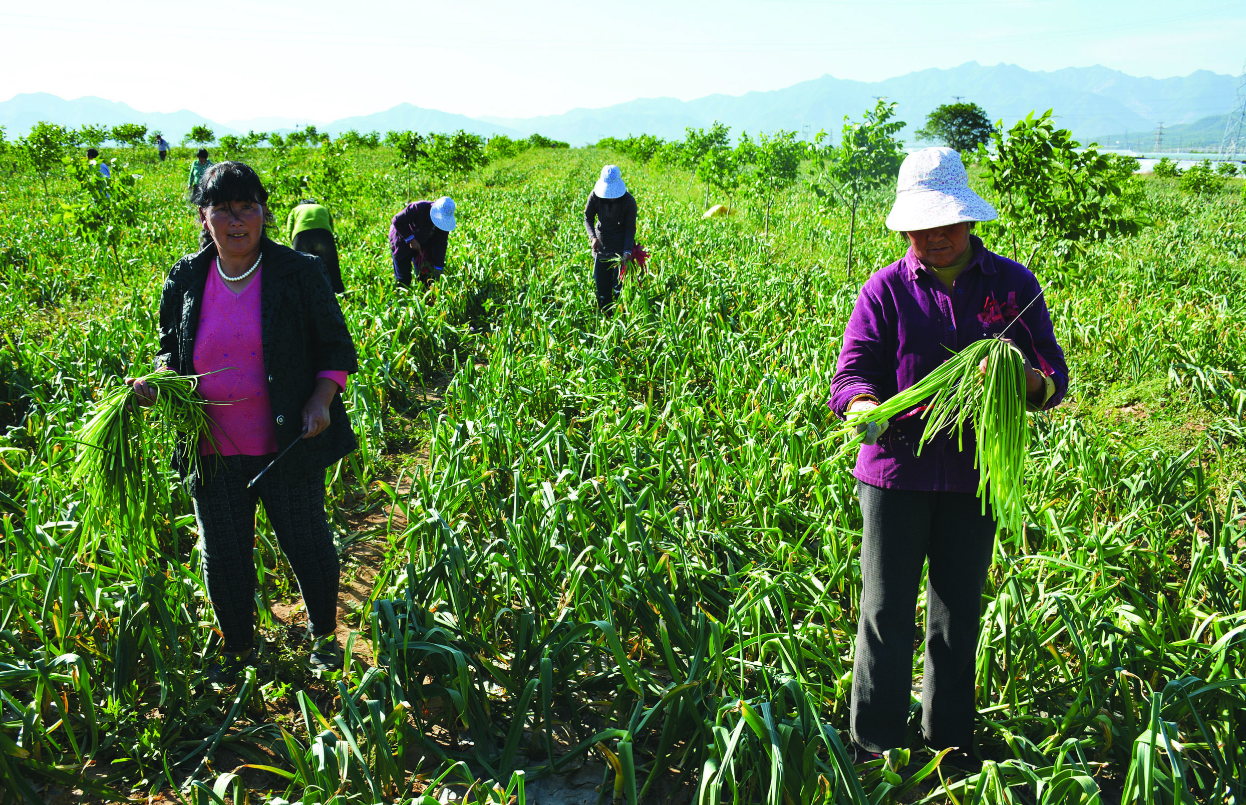 奋力书写新时代奋斗答卷,奋力书写脱贫奔小康的酉阳答卷