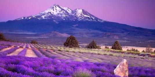 世界最美海岛景点,世界最美潜水景点