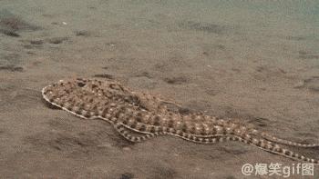 轻松一刻应该怎么做,轻松一刻到底重点在哪里