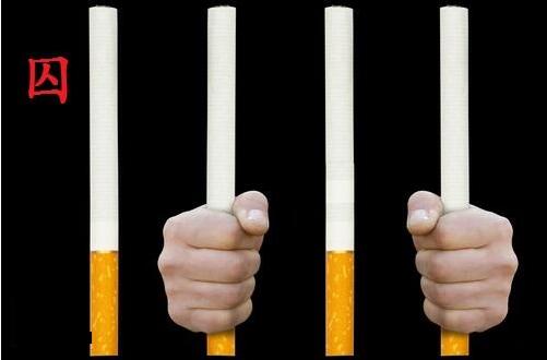 戒烟会消除香烟对身体的危害吗,戒烟用艾烟有用吗