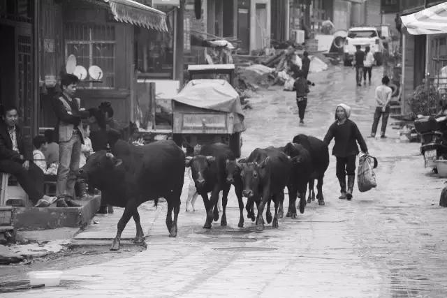 贵州黔东南自由自在的生活,在黎平想做兼职有哪些