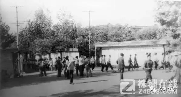 鏈変竴绉嶉潚鏄ュ彨鍘傜熆瀛愬紵,鏍床鍘傜熆瀛愬紵