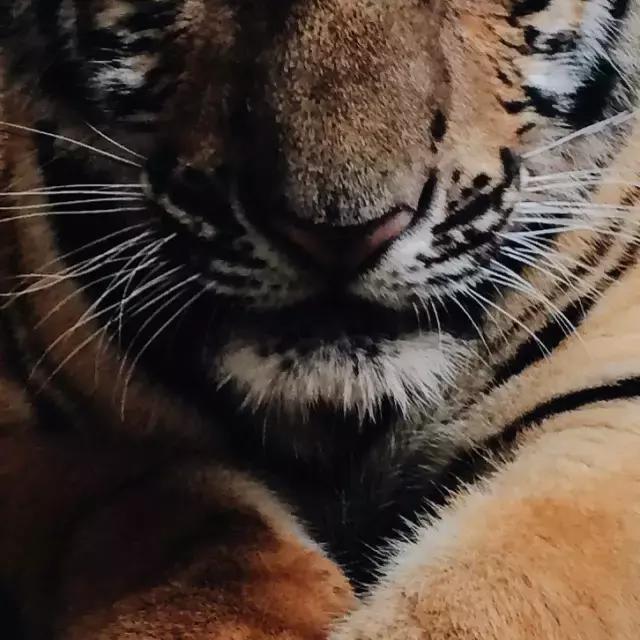 夏季粉底液推荐公认好用第一名,夏季适合用的粉底液