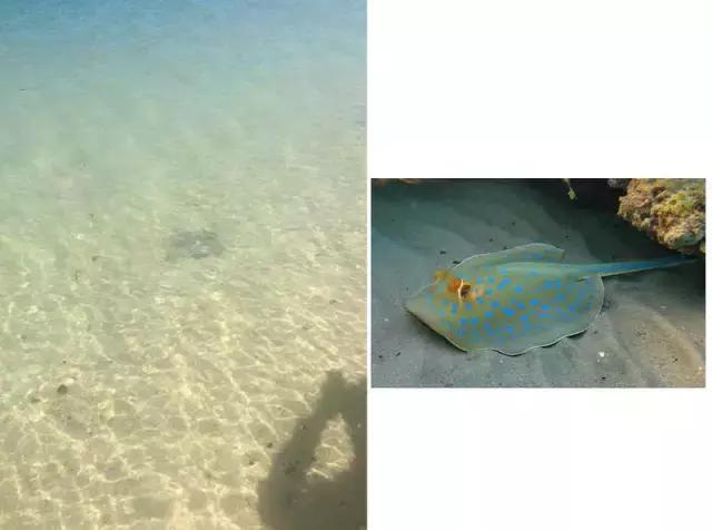 西澳珀斯游记,西澳游记攻略